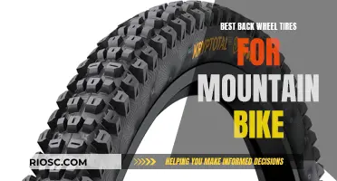 The Ultimate Guide to Choosing the Best Back Wheel Tires for Mountain Bikes