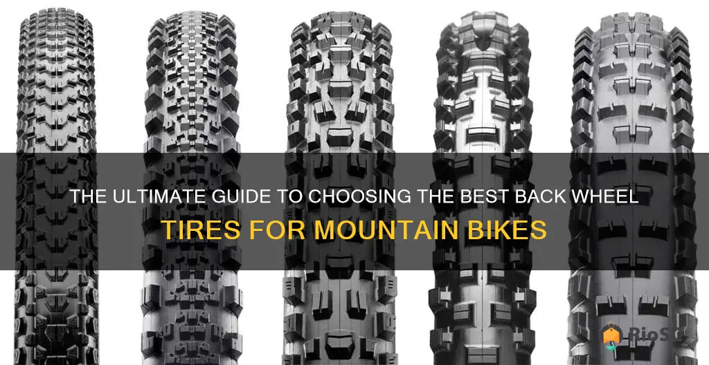 best back wheel tires for mountain bike