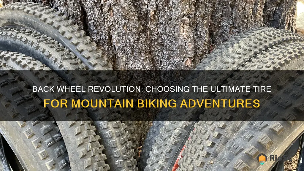 best back wheel tires for mountain bike