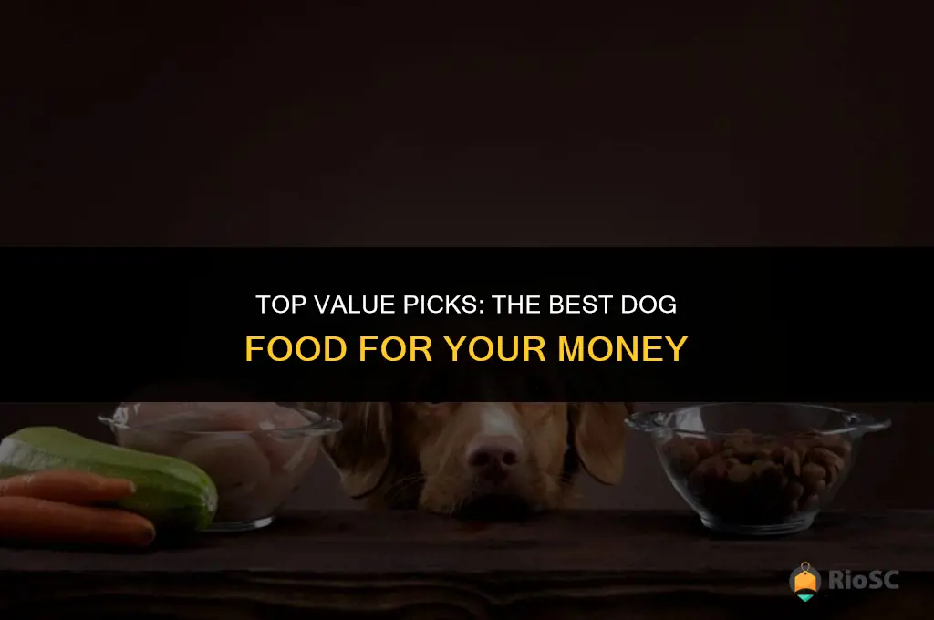best bag for the buck dog food