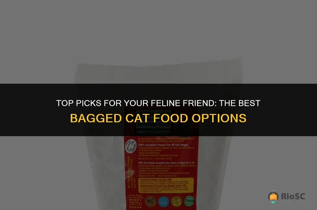 best bagged cat food