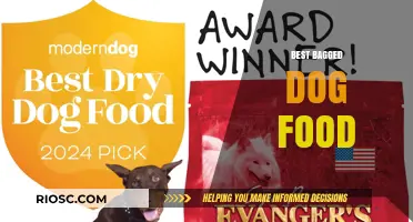 Top Picks for Your Pooch: The Best Bagged Dog Food Options