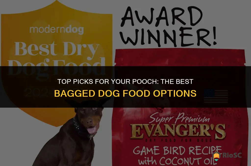 best bagged dog food