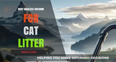 Top Bagless Vacuum Cleaners for Effortless Cat Litter Cleanup