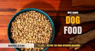 Wholesome Bites: Discover the Best Baked Dog Food for Your Furry Friend