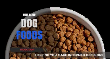 Top Picks for Your Furry Friend: The Best Baked Dog Foods on the Market