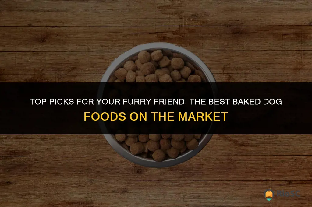 best baked dog foods