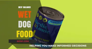 Top Picks for Balanced Wet Dog Food: Nourishing Your Canine Companion