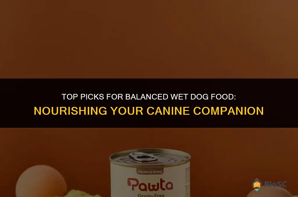 best balance wet dog food