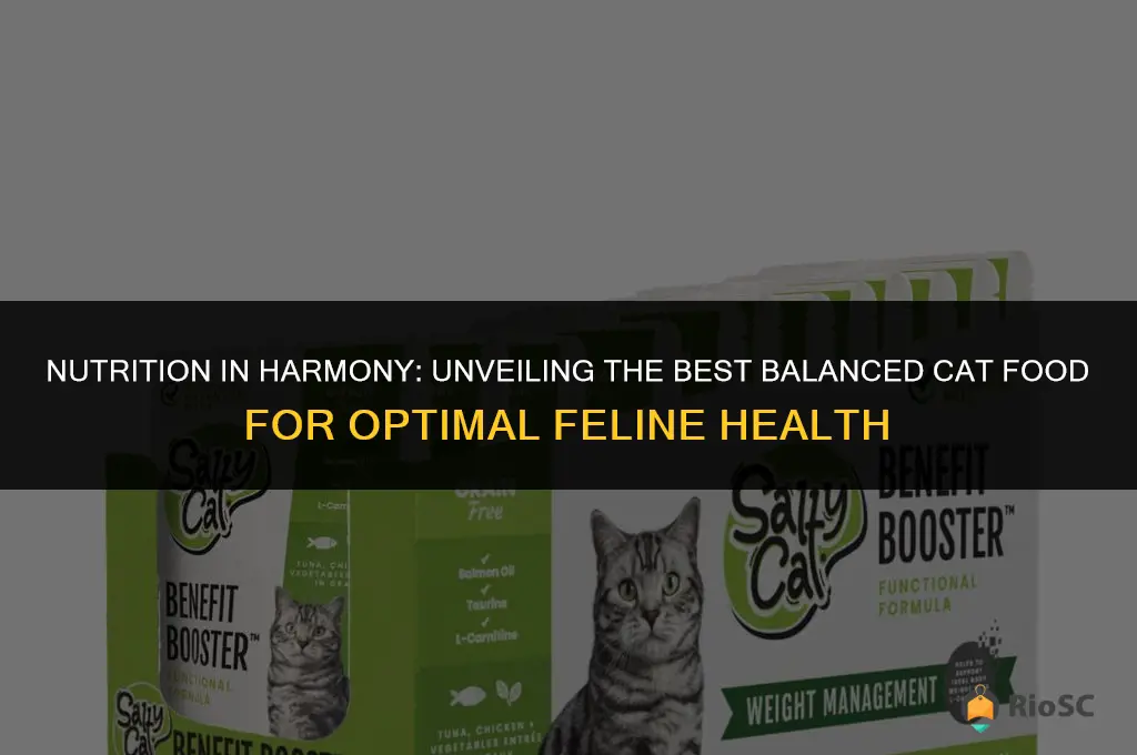 best balanced cat food