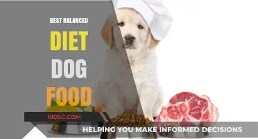 Optimal Nutrition for Canines: A Guide to the Best Balanced Diet Dog Foods