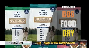 Optimal Nutrition for Your Canine Companion: A Guide to the Best Balanced Dry Dog Foods
