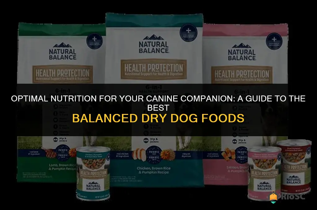 best balanced dog food dry
