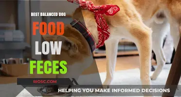 Optimal Nutrition for Minimal Mess: The Quest for the Best Balanced Dog Food with Low Fecal Output