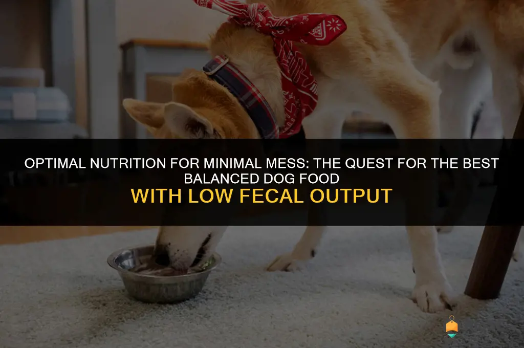 best balanced dog food low feces