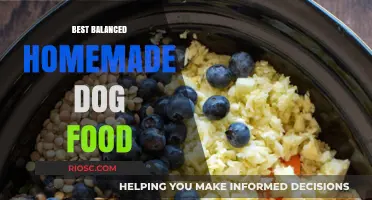 Crafting the Perfect Bowl: A Guide to Balanced Homemade Dog Food