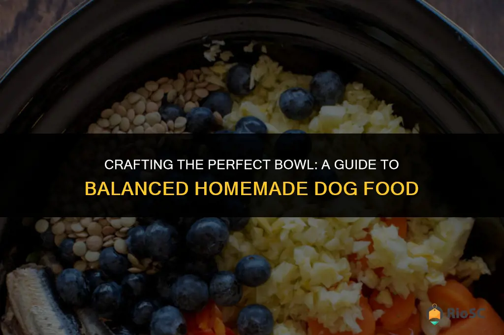 best balanced homemade dog food
