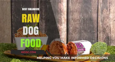 Optimal Nutrition Unleashed: A Guide to the Best Balanced Raw Dog Food
