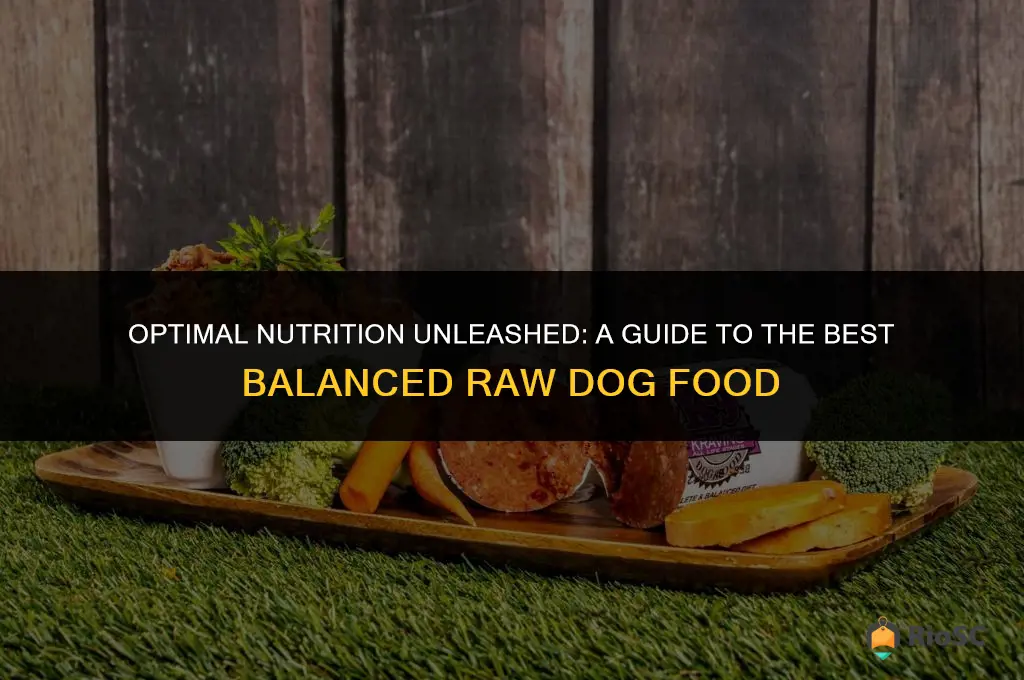 best balanced raw dog food
