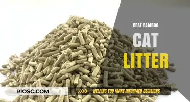 Eco-Friendly and Odor-Free: Discover the Best Bamboo Cat Litter for Your Feline Friend