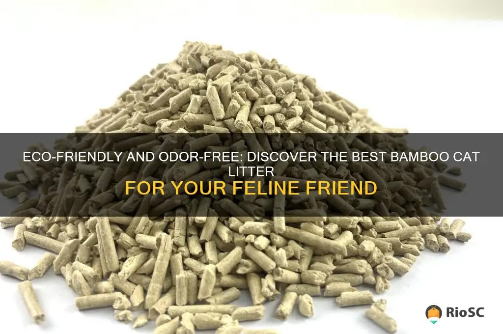 best bamboo cat litter