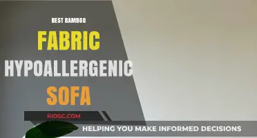 Hypoallergenic Comfort: Discover the Best Bamboo Fabric Sofas for Allergy-Free Living