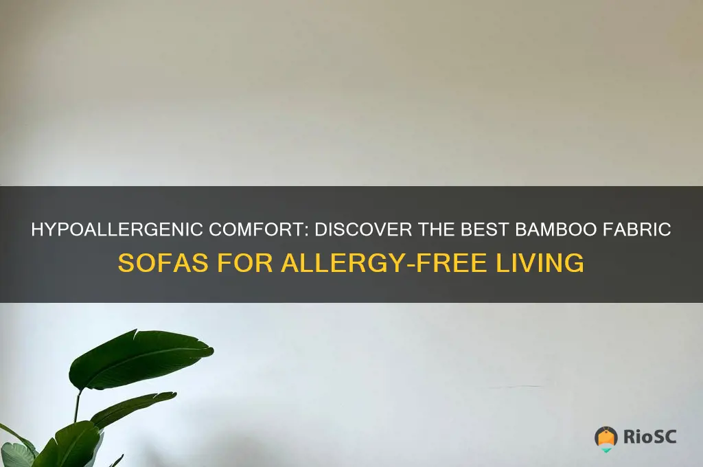 best bamboo fabric hypoallergenic sofa