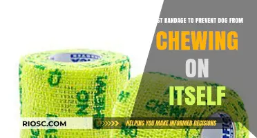 Effective Bandage Solutions to Stop Dogs from Chewing on Themselves: A Guide for Pet Owners
