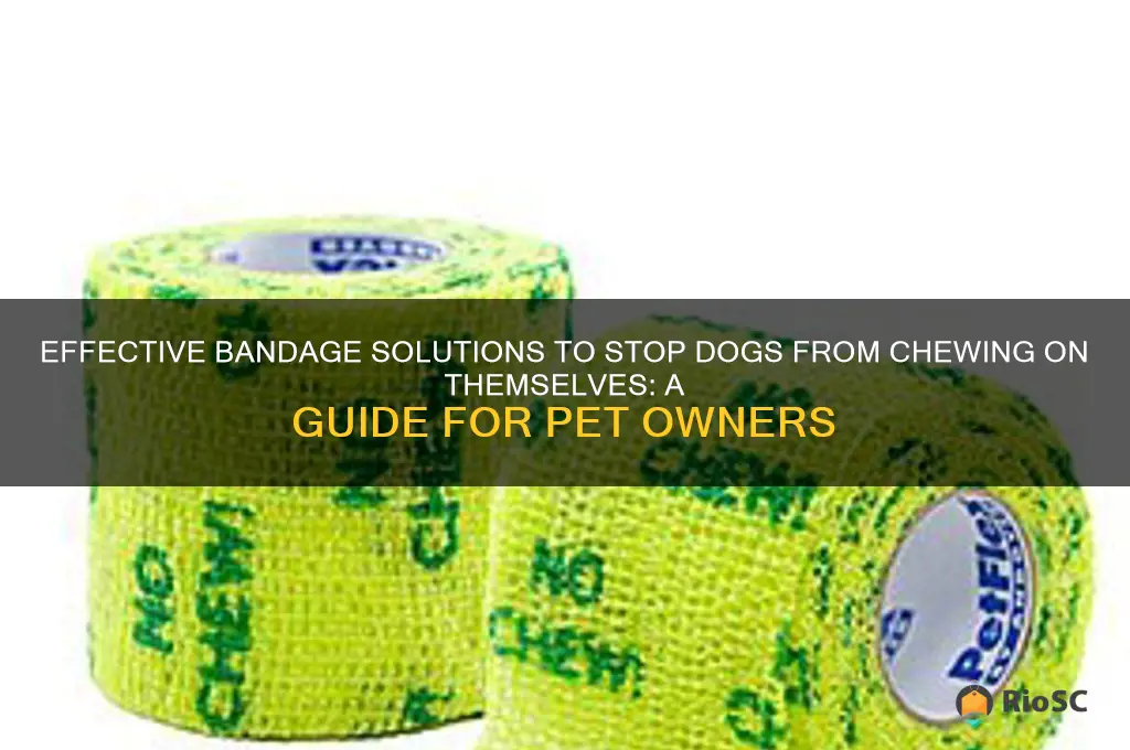 best bandage to prevent dog from chewing on itself