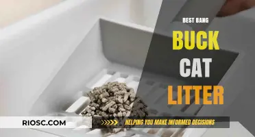 Top Value Cat Litter Options: Maximize Your Budget Without Sacrificing Quality