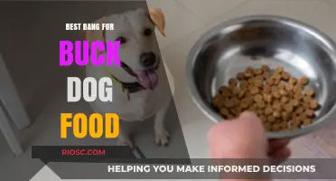 Top Value Dog Food Options: Quality Nutrition Without Breaking the Bank