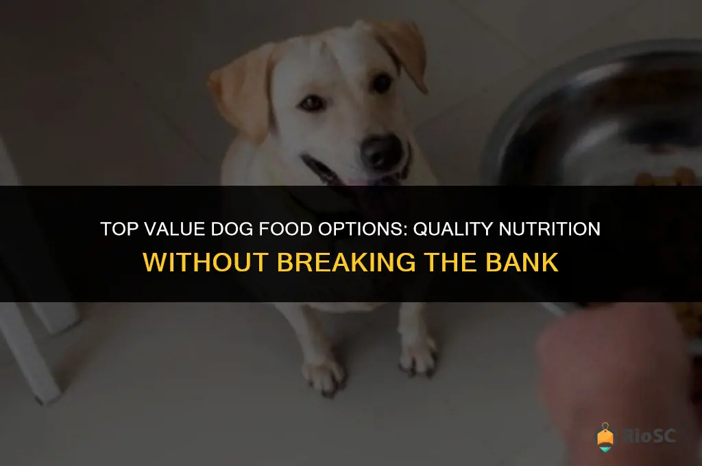 best bang for buck dog food