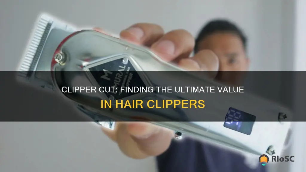 best bang for buck hair clippers