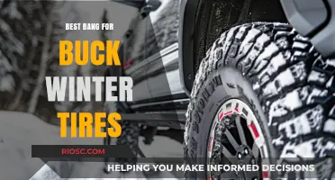 Top Value Winter Tires: Unbeatable Performance Without Breaking the Bank