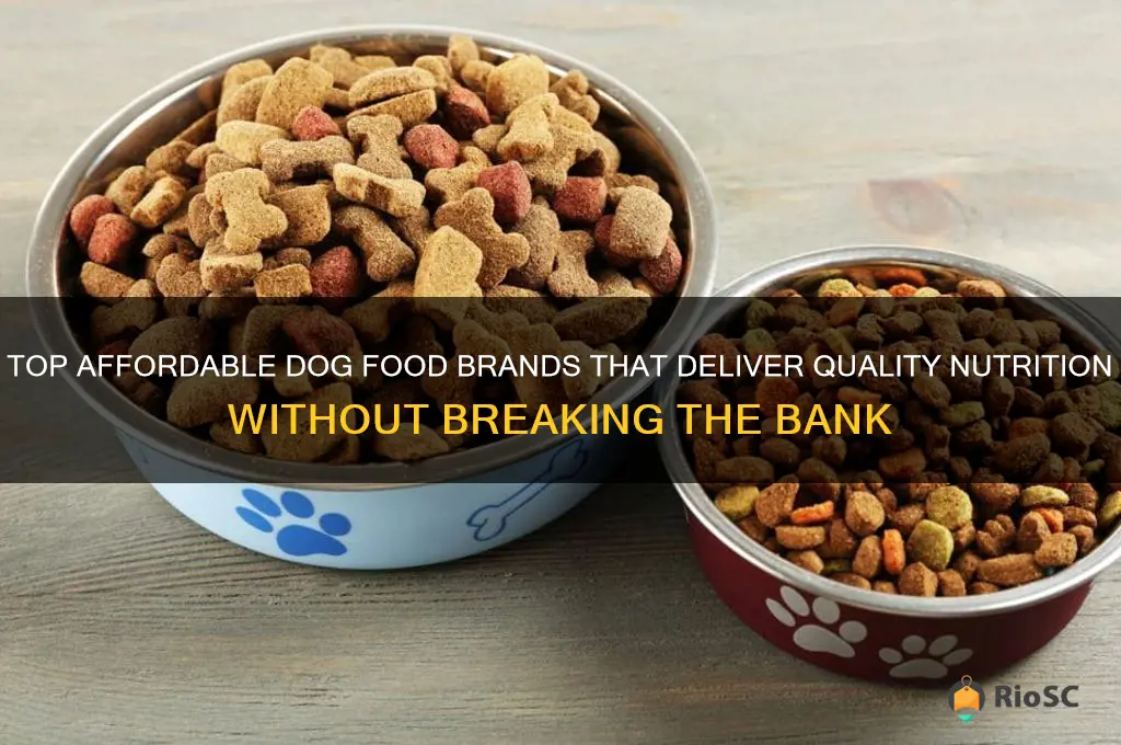 best bang for your buck dog food