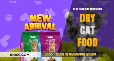Purr-fectly Affordable: Top Dry Cat Food Picks That Won't Break the Bank