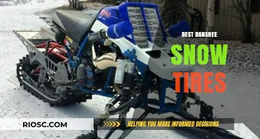 Unleash Your Inner Banshee: Top Snow Tires for Winter Warriors