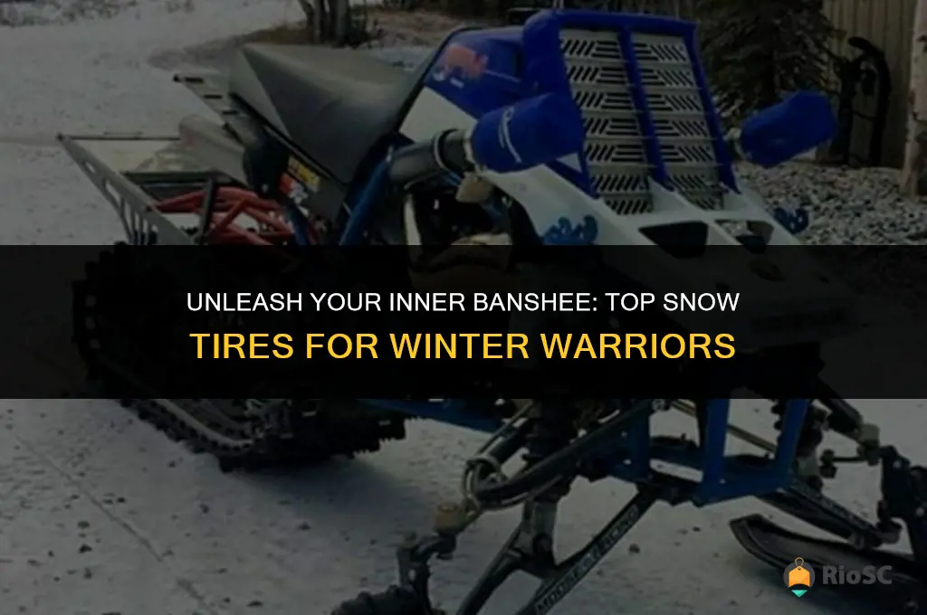 best banshee snow tires