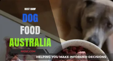 Top Picks for Sensitive Stomachs: The Best Barf Dog Food Options in Australia