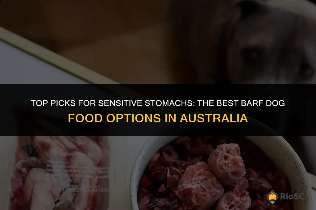 best barf dog food australia