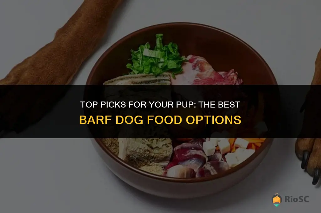 best barf dog food