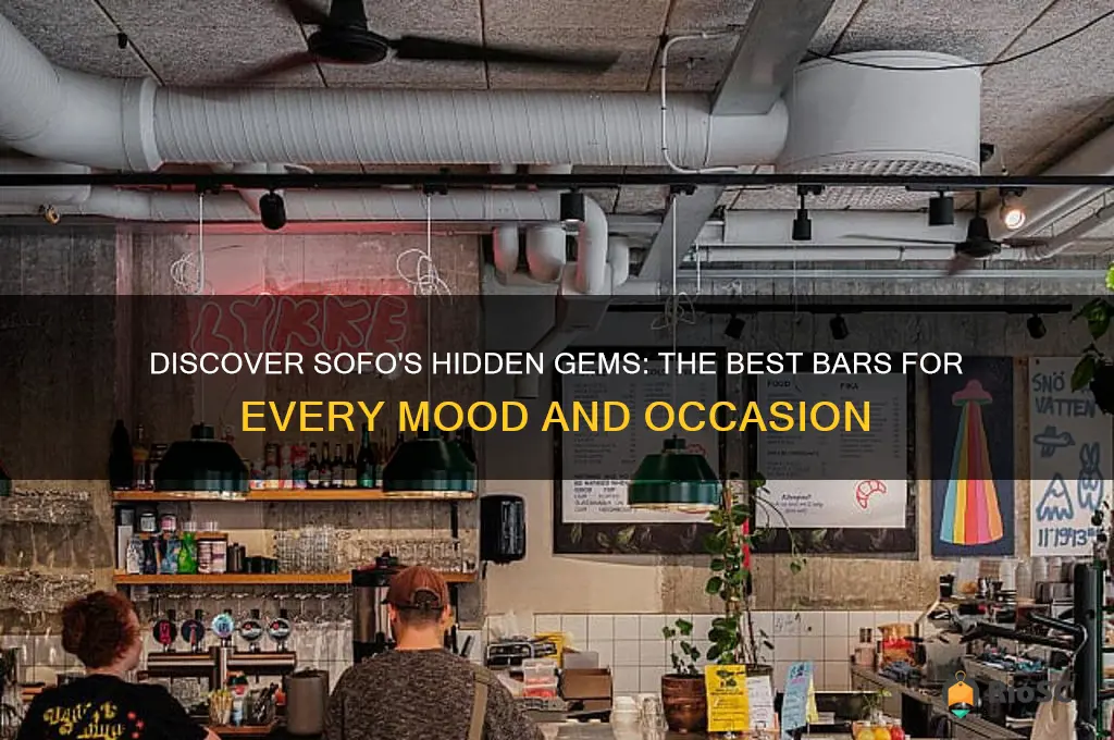 best bars sofo