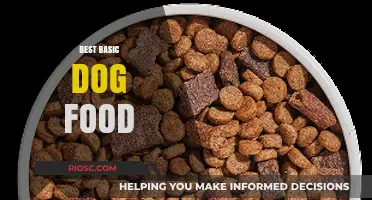 Essential Nutrition for Your Furry Friend: A Guide to the Best Basic Dog Food