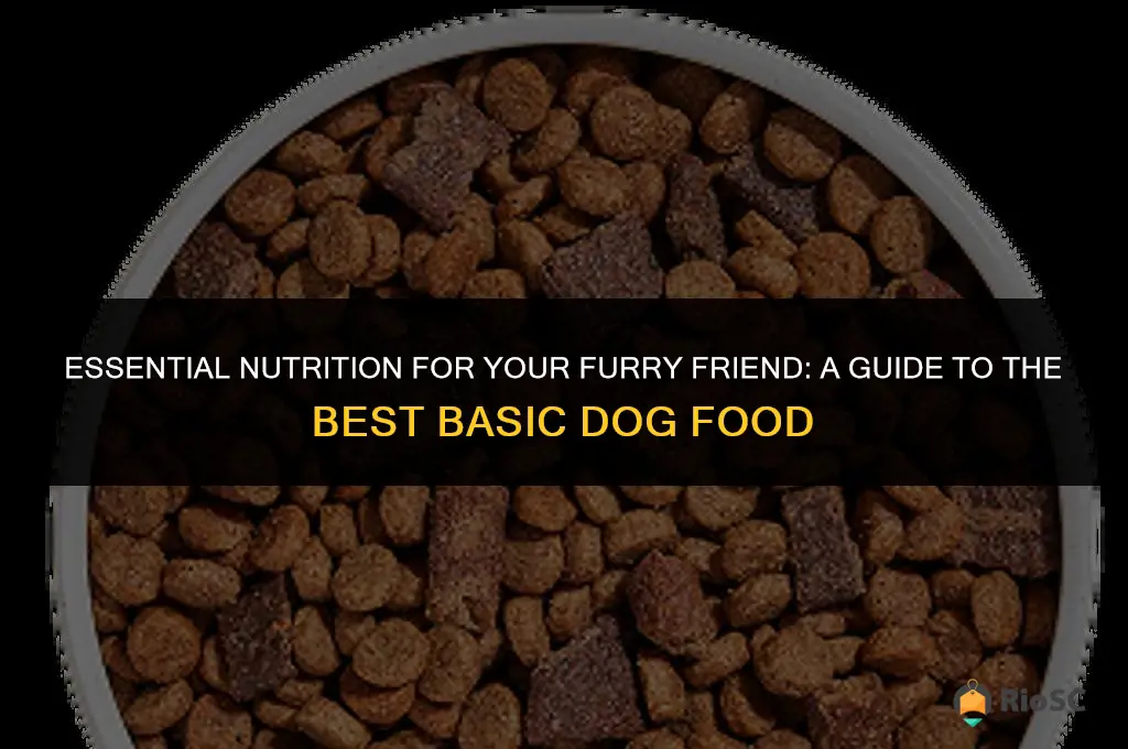 best basic dog food