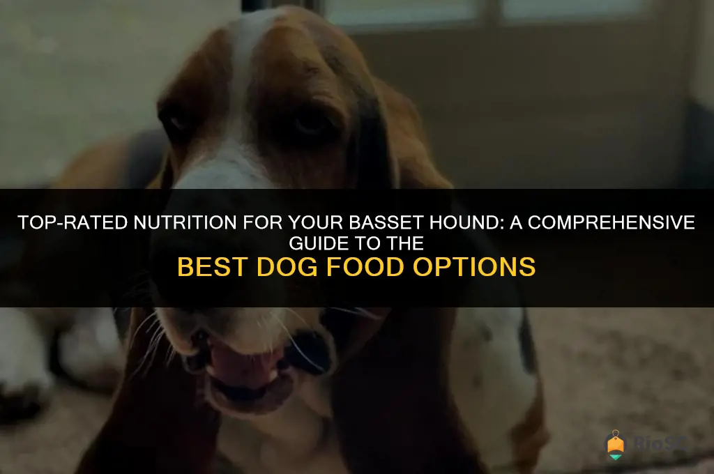 best basset hound dog food