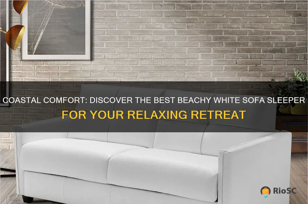 best beachy white sofa sleeper