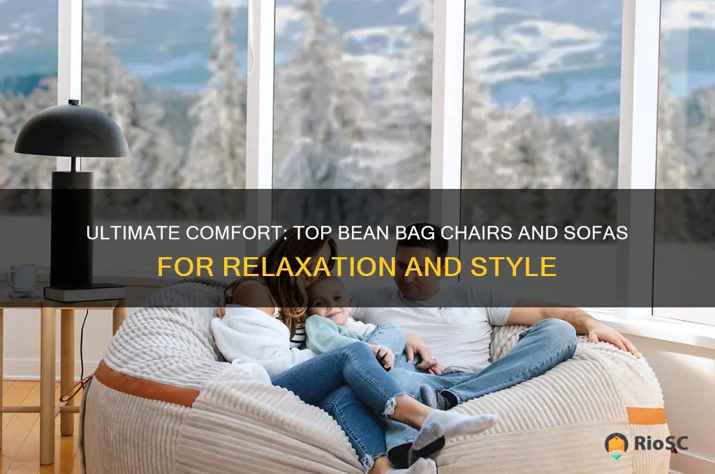 best bean bag chairs and sofa