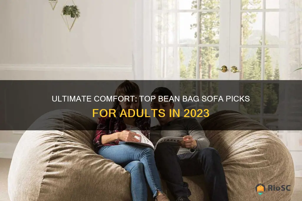 best bean bag sofa for adults