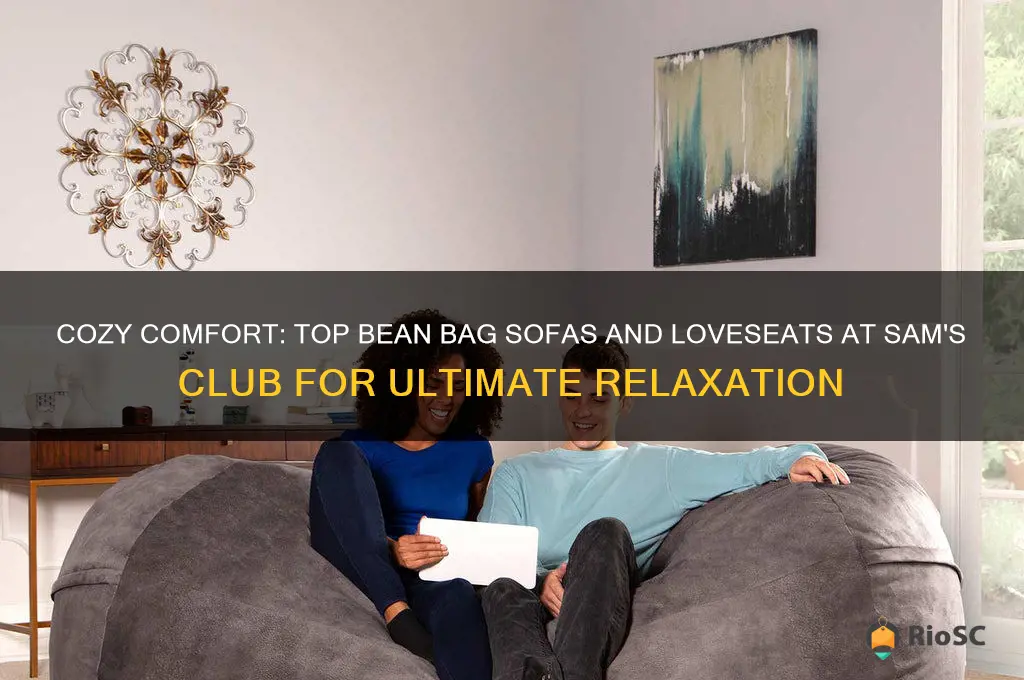 best bean bag sofas and loveseats sams club