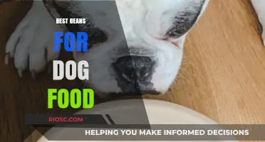 Top Bean Picks for Your Pup's Nutrition: A Comprehensive Guide to the Best Beans for Dog Food